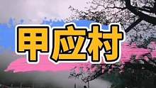 甲应村滇藏线上风景顶级的存在，原始森林高山草甸雪山冰川你能想到的这里都有#甲应村 #丙察察 #梅里雪