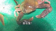 这面包蟹也太可爱了！#赶海 #新农人计划2021
