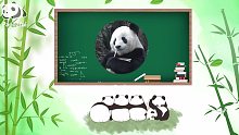 熊猫百问你来问｜大熊猫的消化能力怎么痒？（第十八集）