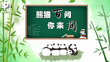 【熊猫百问 你来问】之熊猫崽崽真的喜欢挤挤睡嘛？