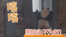 【熊猫】熊族永不为奴！