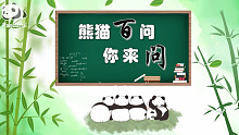 【熊猫百问 你来问】之瓶瓶奶为什么是熊生挚爱～