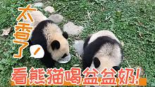 【熊猫】和饲养员一起喂养熊猫~