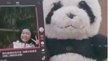 熊猫百问！你来问！
