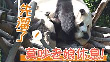 【熊猫】绩丽：带娃好累
