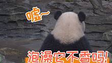 【熊猫】泡澡它不香吗！