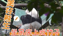 【熊猫】大佬的养生日常