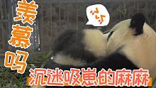 【熊猫绩笑绩丽】沉迷吸崽的熊猫麻麻
