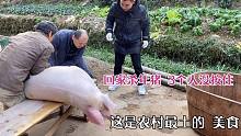 养了一整年的家猪，力太大3个人都没按住，这种农村味道城里没有