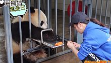 熊猫：又想骗我吃药！