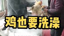 奶奶想多了，我就给鸡洗个澡，你们觉得类#农村搞笑段子 #农村那些搞笑的事