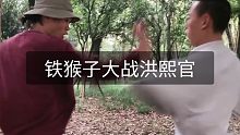 《铁猴子大战洪熙官》猴子系列第二部
