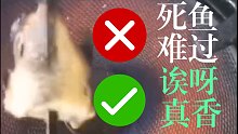 【老杨搞笑】好兄弟死了条鱼，嘤嘤嘤真香