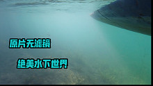 为了拍这期视频，我把 手机 放进了四川泸沽湖水里