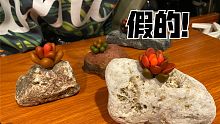 【石头多肉】vlog20:旅行中没有手作可以摆摊挣路费了，捡几个石头捏一些吧！