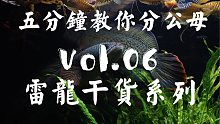 【雷龙鱼】包学包会，5分钟教你分公母雷龙鱼，大量素材警告！