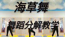 【年会精选！第二弹】海草舞镜面舞蹈分解教学