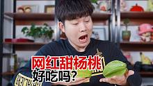 黑布林大哥推荐的网红甜杨桃，真的甜吗？