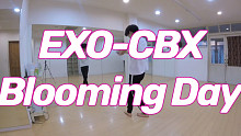 【EXO-CBX - Blooming Day(花曜日】分解动作教学教程