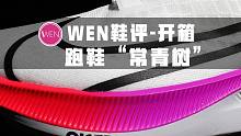 「WEN鞋评」最适合普通人的跑鞋！为何飞马系列会被誉为跑鞋的“常青树”？