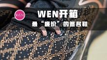 WEN开箱 | 三百块的团队鞋等于五百块的签名鞋？安踏这操作我看不懂