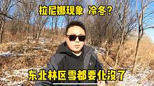 都说今年是冷冬，马上冬至东北林区雪都要化没了，这天也太暖和了