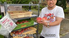 【志强的食堂】日本乡下的 水果蔬菜　自助售卖所