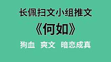 【长佩】推文《何如》，离婚之后，我和前夫的哥哥在一起了！