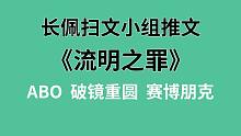 【长佩】推文《流明之罪》，干了很多坏事的贫民窟高智商黑客和不识别人间疾苦的小王子之间的绝美爱情！