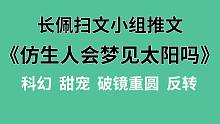 【长佩】推文《仿生人会梦见太阳吗》，你以为的初次遇见，其实是破镜重圆！