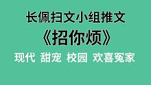 【长佩】推文《招你烦》，爽文写手和他小学生读者的恋爱故事！