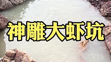 活饵打窝 惊现巨型魔鬼鱼 海鲈鱼泛滥成灾，简直不要太幸福【上集】