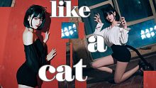 【Gikiki】万粉福利☆like a cat★猫步轻俏 韩舞初尝试♥