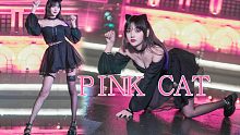 【Gikiki】五万fo感谢☆PiNK CAT★这粉猫怎么黄黄的