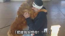 狗狗走失一年半后与主人重逢那一刻抱头疼哭：巴巴你终于找到我了