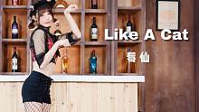 【莓仙】Like a cat猫步轻俏☆谁说在性感面前可爱一无是处？【万粉作】