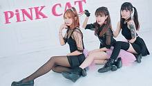 【胖大果×西岛×萌大酱】PiNK CAT(ฅ•ω•)ฅ三只小野猫请签收