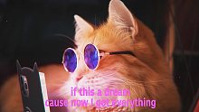 【睡前推荐】Shoffy新单《Cat Cafe》 (Lyric Video)