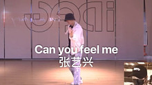 【IDeG】小哥哥超还原翻跳！张艺兴 Can you feel me