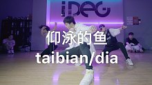 【IDeG】taibian/dia超经典-仰泳的鱼｜是你的走心大壮