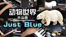 【电声合奏】电视节目「动物世界」经典片头曲《Just Blue》