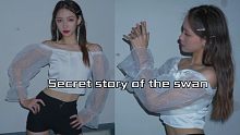 【WEI】天台上的secret story of the swan
