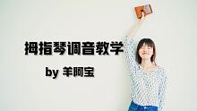 拇指琴 调音教学