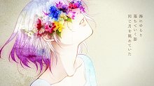 【flower】Aurelia【n.k】