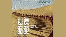【裂天】沙漠骆驼-只有一匹骆驼陪我