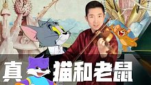 【猫和老鼠】小提琴版（混进了奇怪的东西）