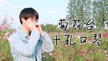 【十孔口琴】菊花台 二把位吹奏 花落人断肠 曲终人离散