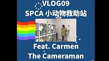 【VLOG09】小动物救助站