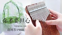 【卡林巴/拇指琴】「请回答1988」插曲《你不要担心》