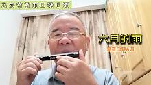 六月的雨-复音口琴A调 | 胡歌演唱的一首歌（自学口琴，吹的不好请多见谅）